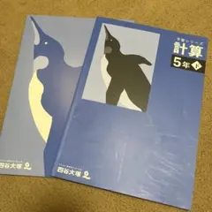 未記入　算数 計算　5年 下　四谷大塚　予習シリーズ