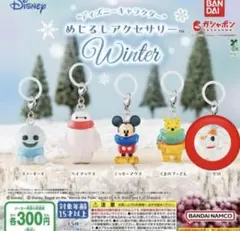 ディズニーめじるしアクセサリー　ゼロ