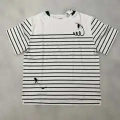 Graniph ビューティフルシャドー　L ボーダー緑Ｔシャツのサムネイル