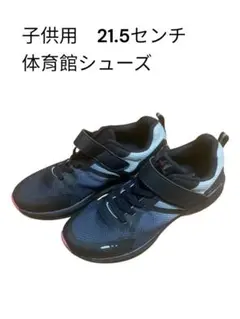 Bio Fitter 子供用 体育館シューズ 21.5cmのサムネイル