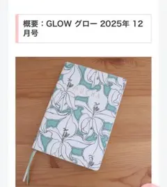 Item thumbnail for item aaa1dd97-33e7-4c2f-a8ba-e2e3acc4ea08