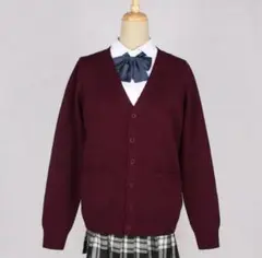 着画あり！！バーガンディ Vネック カーディガン