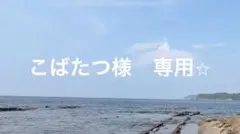 こばたつ様　専用⭐︎