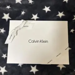 Calvin Klein ボクサーパンツ 2枚入