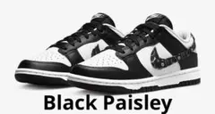 NIKE ナイキ ダンクロー ブラックペイズリー WMNS 25センチ　パンダ