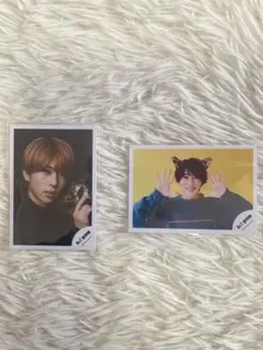 末澤誠也 ミニフォト