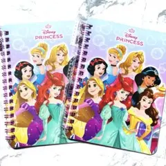 ディズニープリンセス　シール帳　2冊