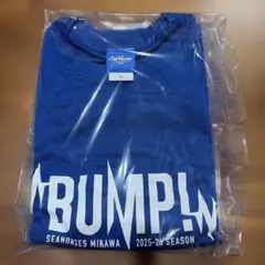 シーホース三河 2025-26シーズン Tシャツ XL 半袖