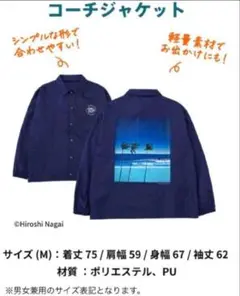 チルアウト　永井博　まとめ売り　タンブラー　パーカー　コーチジャケット チルアウト 永井博 まとめ売り タンブラー パーカー コーチ
