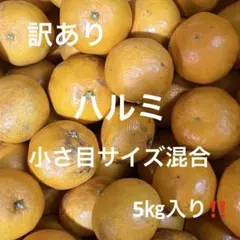 有田みかん　純宝丸　訳ありハルミ 小さ目サイズ混合5㎏入り