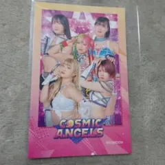 しょうやん様 リクエスト 2点 まとめ商品