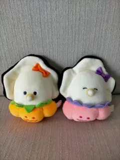 つぶらな瞳のなまがき　かぼちゃパンツ