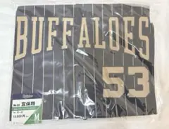 オリックス・バファローズ 西川龍馬選手 ハイクオリティユニフォーム M