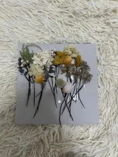 Item thumbnail for item cc51a735-619e-4754-8347-7d7e1a588942