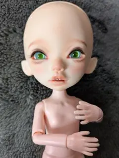 カスタムドール、DIMヘッド Aria、オビツボディ22、洋服、靴