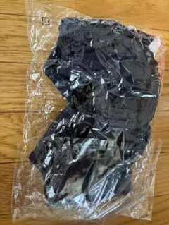 PGブラ　新品　Lサイズ　ナイトブラ