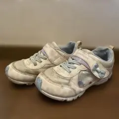 ラブラッシュ　19cm EE