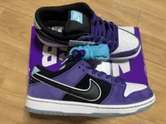 Hayley Wilson Nike SB Dunk Low 27.5cm