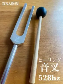 2026年最新】音叉 マドモアゼル愛の人気アイテム - メルカリ