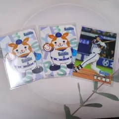 【匿名配送】プロ野球チップス2025 横浜ベイスターズ スターマン2枚、宮崎