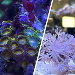 ゆなゆな様 リクエスト 2点 まとめ商品