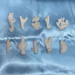 珊瑚 サンゴ 欠片 カケラ 白 セット シェル 貝がら 貝殻 貝 コーラル