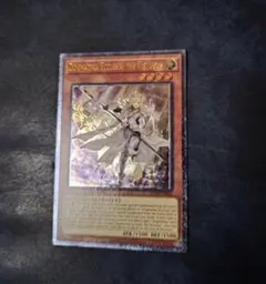 遊戯王 泰亜版 英語 AE 教導の聖女エクレシア 25th シークレット 