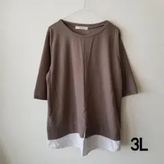 裾切り替え プルオーバー 無地×ストライプ ベージュ 5分袖 大きいサイズ 3L