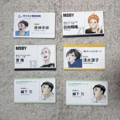 名刺カードコレクション　セット