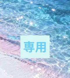 専用