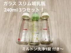 ガラス 哺乳類 240 3つセット