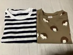 カットソー　ロンT 100cm コットン