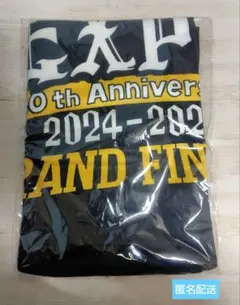 GLAY EXPO GF ランダムバラエティグッズ ブランケット - メルカリ