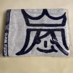 Item thumbnail for item 253031f5-34ce-407f-a5d1-91377f525d52