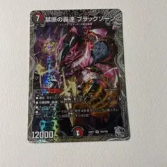 2026年最新】ブラックゾーンの人気アイテム - メルカリ