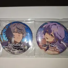 サンデー ロビン 缶バッジ ※同人 崩壊スターレイル