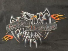 90s 00s USA製 ハーレーダビッドソン Tシャツ フレイム イーグル