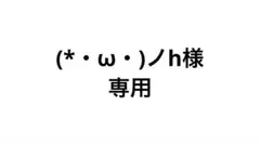 (*・ω・)ノh様専用
