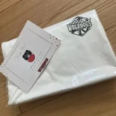 ウルフドックス名古屋　ロンT 選手名なし