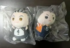 ハイキュー　もちもちマスコット　たっち