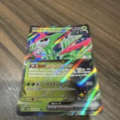 テツノイサハEX 220HP ポケモンカード