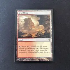 MTG 乾燥台地 Arid Mesa 英語 a