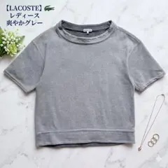 美品 LACOSTE ラコステ 半袖 カットソー プルオーバー ボーダー 44のサムネイル