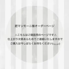 肥マンモーニ様 オーダーページ ෆ̈ ぬい服 はむにぎり