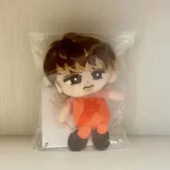 SnowMan 向井康二 すのチル ちびぬい