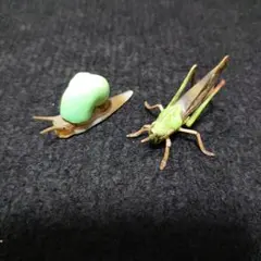 Item thumbnail for item 521a93f4-3565-48cf-8701-1582d74ad54c