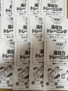 ⑲か 重要単元 苦手克服 サピックス SAPIX 6年 国語Aテキスト8回分