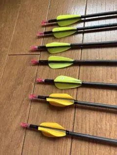 TENPOINT PRO ELITE カーボン矢 ＆ アルミ矢 まとめ売り TENPOINT PRO ELITE カーボン矢 ＆ アルミ矢 まとめ売り