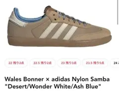 Wales Bonner × adidas Nylon Samba