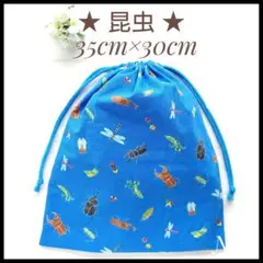 Item thumbnail for item 752da388-e9aa-45b8-a835-55480aede616